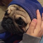 Profile Picture of pamela (@pamela_huitron) on Instagram