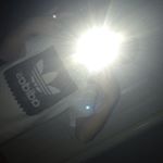 Profile Picture of Matthew Rogers (@bullsmatt21) on Instagram