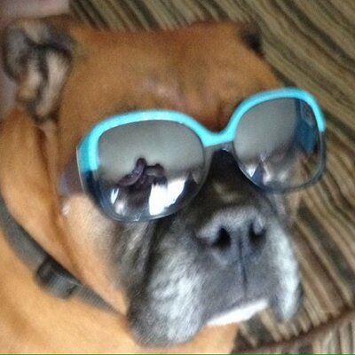 Profile Picture of Charles David Ware (@@ch5563) on Twitter