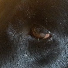 Profile Picture of Thomas VIGNOLI RECH (@tomcass2002) on Twitter