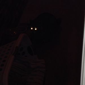 Profile Picture of Brandon Huerta (@mrwilliams34451) on Myspace