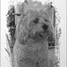 Profile Picture of Paula Rasch (@poollarr9) on Pinterest