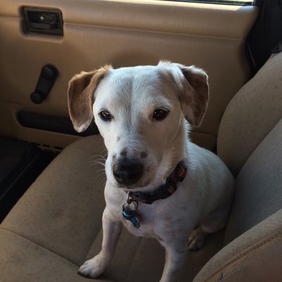 Profile Picture of Jim Spiker (@JimSpiker) on Twitter