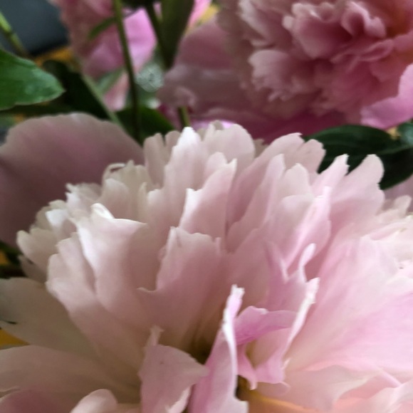 Profile Picture of Maurine Day (@maurineday) on Poshmark