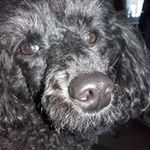 Profile Picture of Markku Palmgrén (@markkupalmgren) on Instagram