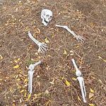 Profile Picture of Jeff Jordan (@jeffejordan1969) on Flickr