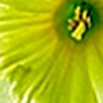 Subramanian S R - Flickr Profile Picture of Subramanian S R (@$rs) on Flickr