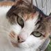 Profile Picture of MARCUS CHEW WEN XUAN Moe (@m10253870) on Pinterest