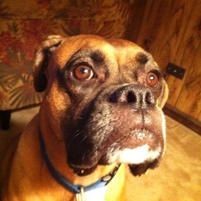 Profile Picture of James Faircloth (@Steede4) on Twitter