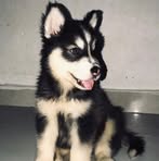 Gabriel Human - Facebook Profile Picture of Gabriel Human (@gabriel.human.18) on Facebook