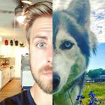 Profile Picture of Josh Cain’s iDog Training (@cain9trainer) on Instagram