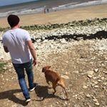 Profile Picture of Richard Walpole (@rich_walpole) on Instagram