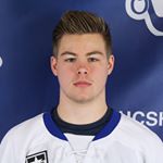 Nick Andrews - Instagram Profile Picture of Nick Andrews (@nicklasandrews) on Instagram