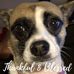 Profile Picture of Shirley Jefferis (@shirley.jefferis.9) on Facebook