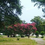 Profile Picture of joshh (@joshua.branstetter_backup) on Instagram