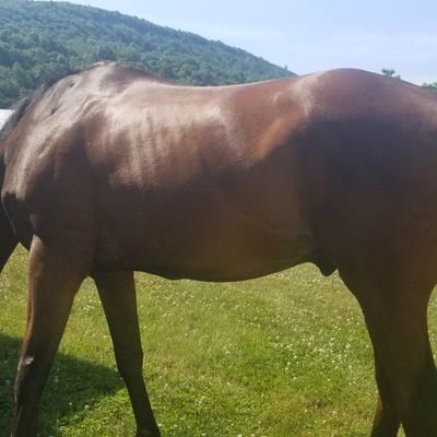 Michael Kolesar - Twitter Profile Picture of Michael Kolesar (@MichaelKolesar1) on Twitter