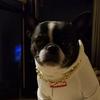 Profile Picture of heatherburnside94 (@heatherburnside94) on Tiktok