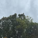 Profile Picture of Joe Loudermilk (@Joe-Loudermilk) on Facebook