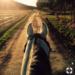 Summer Calvert - Instagram Profile Picture of Summer Calvert (@summer_savannah_calvert) on Instagram