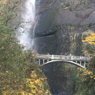 Profile Picture of Calene Greer (@calene.greer.3) on Facebook