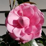 Profile Picture of Allen Craig Mashburn (@allencraigmashburn) on Instagram