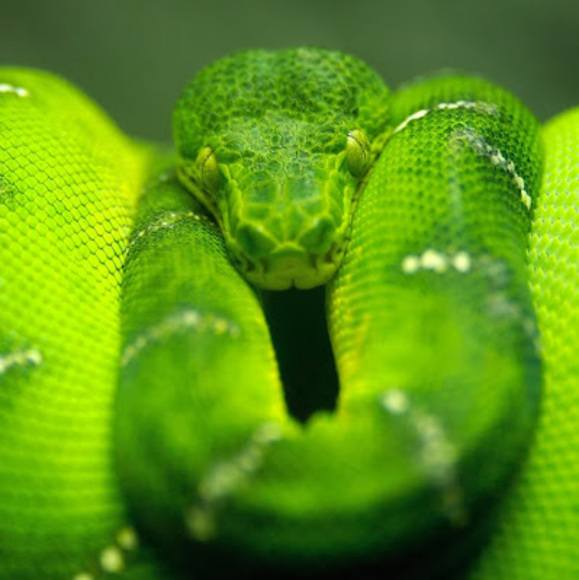 Profile Picture of Shawn Gonzalez (@cutekiidshawn23) on Poshmark