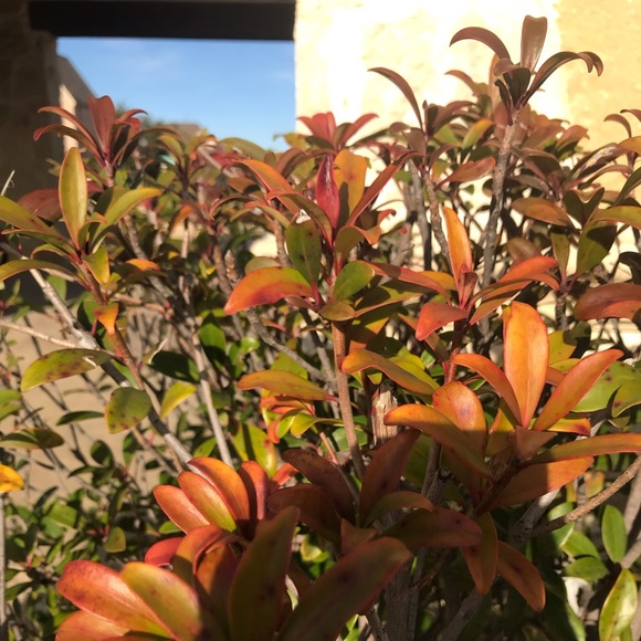 Profile Picture of Katelyn Mcleland (@186706) on Poshmark