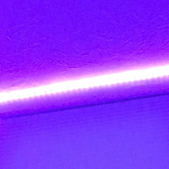 Profile Picture of Angelina Avitabile (@angelinaavi) on Poshmark