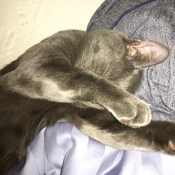 Profile Picture of Edward Akopyan (@akopyaneduard12) on Poshmark