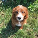 Profile Picture of Parker Pearson (@pearson_parker) on Instagram