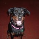 Profile Picture of Gracie Sharp (@lilgraciedog) on Myspace