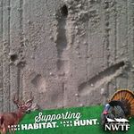 Profile Picture of Joe Thigpen (@kendrick__6371__issac) on Instagram