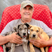 Profile Picture of Ken Carlton (@kennethecarlton) on Youtube