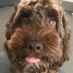 Profile Picture of Lisa Luxton (@planetsstars2002) on Instagram