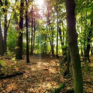 Profile Picture of Jeff Redden (@JeffRedden5) on Twitter