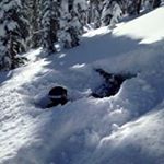 Profile Picture of Kyle Healy (@kyle_healy333) on Instagram