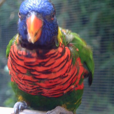 Profile Picture of David Barrow (@DavidBarrow) on Twitter