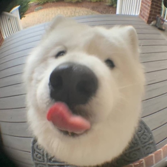 Profile Picture of Sarah Moxham (@s_moxham) on Poshmark