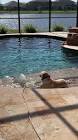 Profile Picture of   Holly loves the pool!... (@shanna1029) on Tiktok