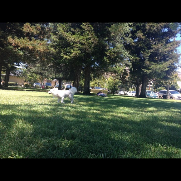 Profile Picture of Alice Sutton (@alsutton1) on Poshmark