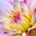 Profile Picture of Reese Hall (@reeseh2) on Pinterest