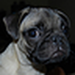 Profile Picture of Heather Watson (@smilingjusttosee) on Flickr