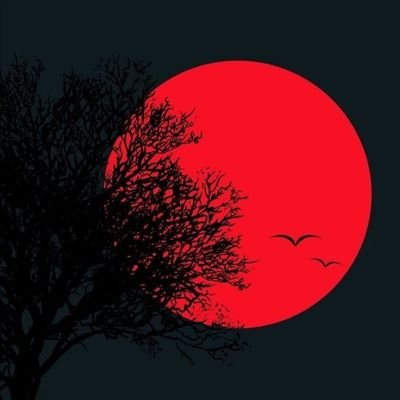 Profile Picture of Ayyüce ✨ (@Ayyuce_lr) on Twitter