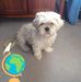 Profile Picture of Danny Yocum (@danny.yocum.3) on Facebook