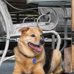 Profile Picture of Jeff Lesniak (@jeff.lesniak.925) on Facebook