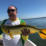 Profile Picture of Adauto Charles Perazza (@adautocharlesperazza) on Instagram