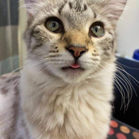 Profile Picture of Regan Busciglio (@lightlegacyy) on Poshmark