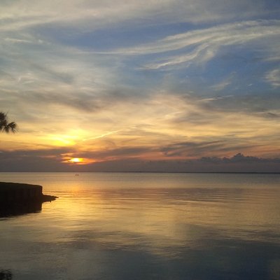 Profile Picture of Donnie Daugherty (@Trpl_DDD) on Twitter