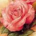 Profile Picture of Amira Samaha (@amira.samaha.75) on Facebook