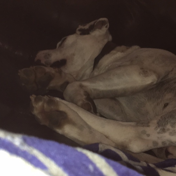 Profile Picture of Chelsea Hinchee (@chelsea_hinchee) on Poshmark